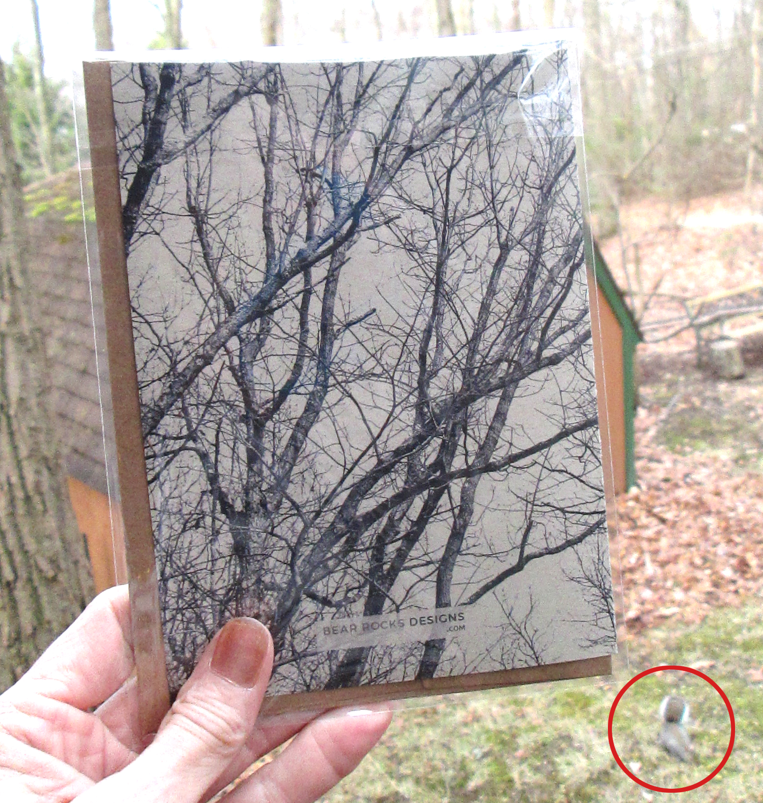 Art Card Sets - bulk pricing - Image 11