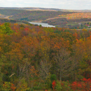 Laurel Highlands Landscapes