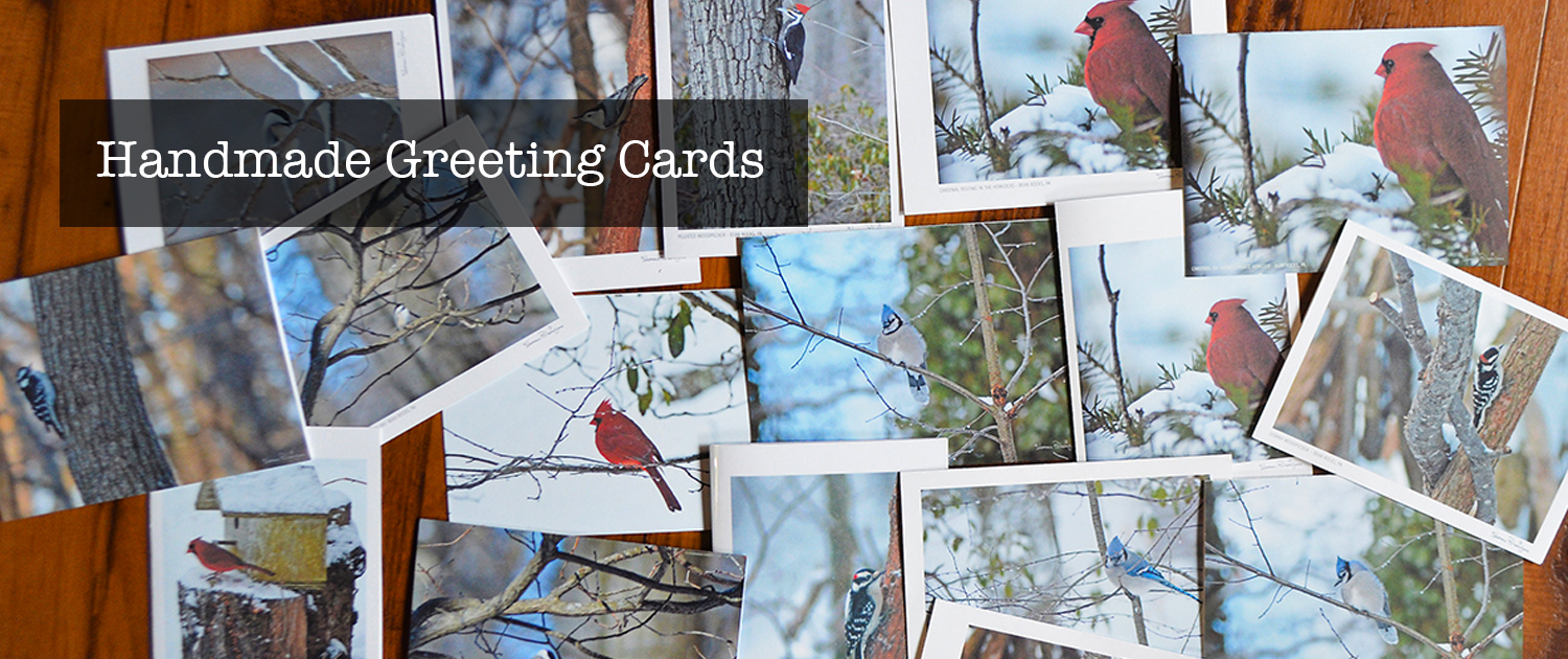 Nature Rocks Designs @ Mountain Laurel Yoga - Image 6