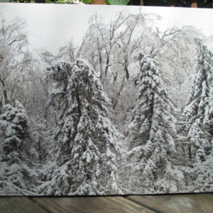 Canvas Art