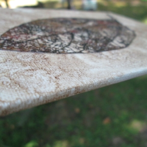 Leaf Art