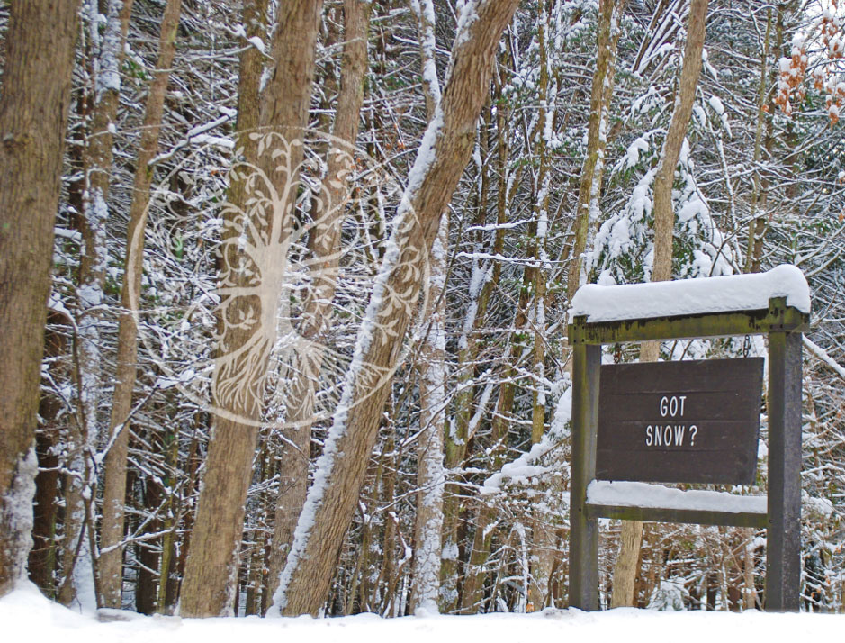 Snow? Laurel Hill State Park sign - 8x10 print