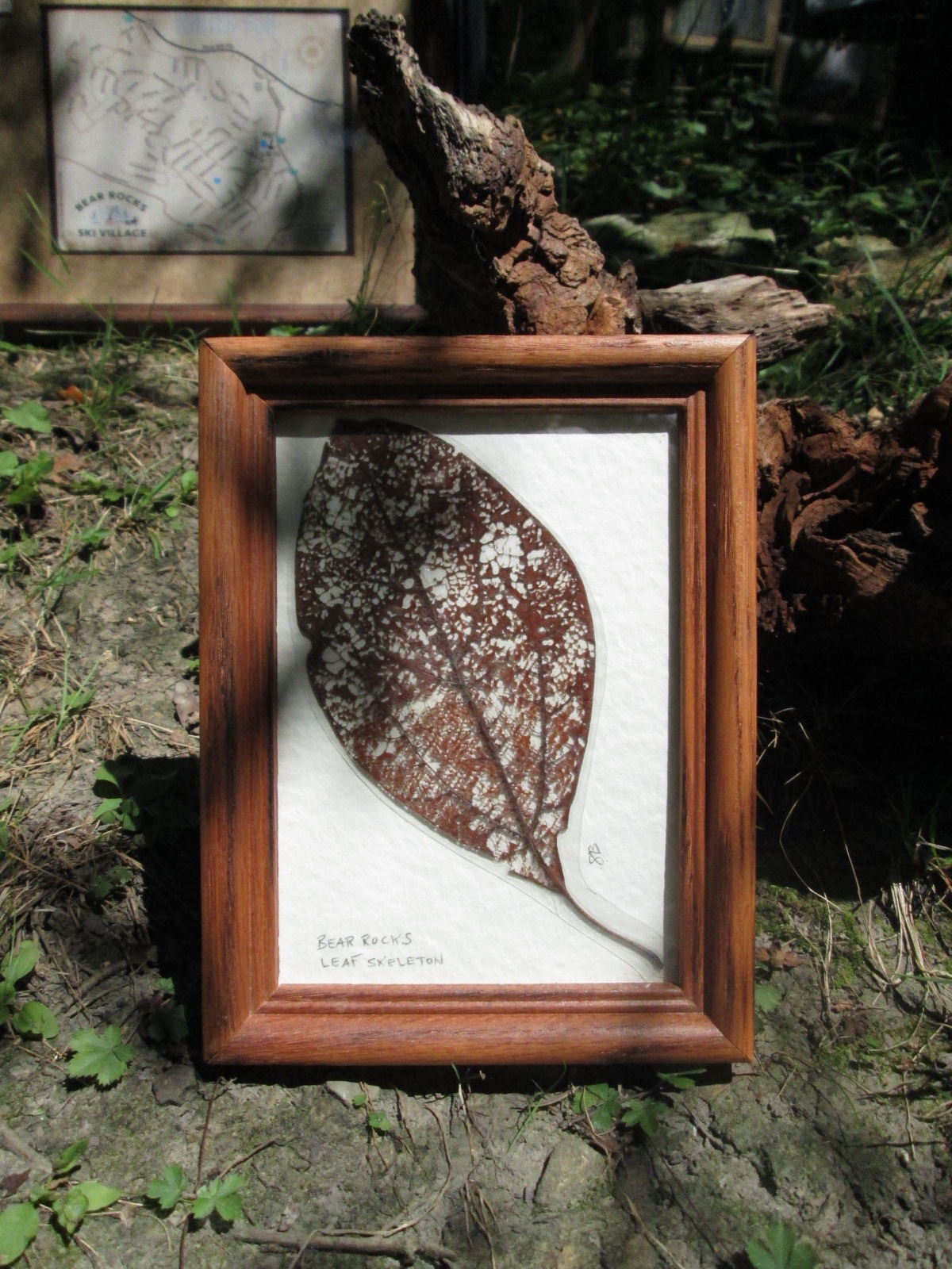 Leaf art #74