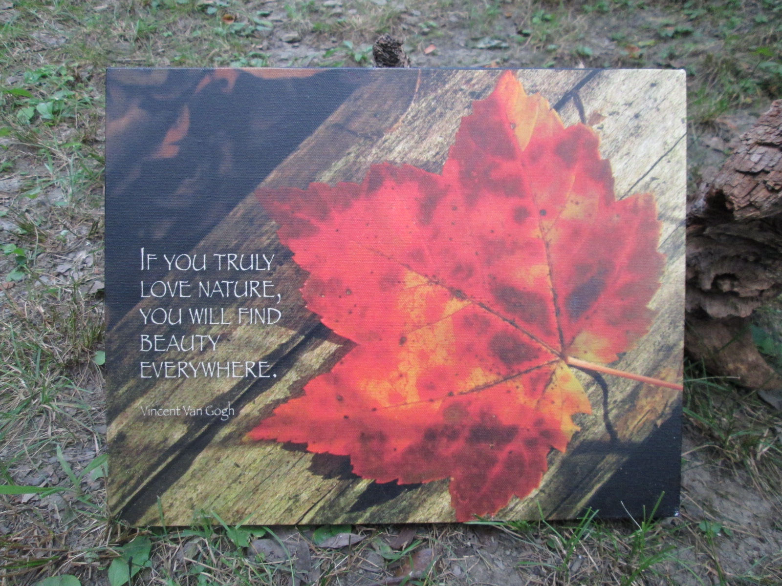 If you truly love nature you will find beauty everywhere - fall leaf