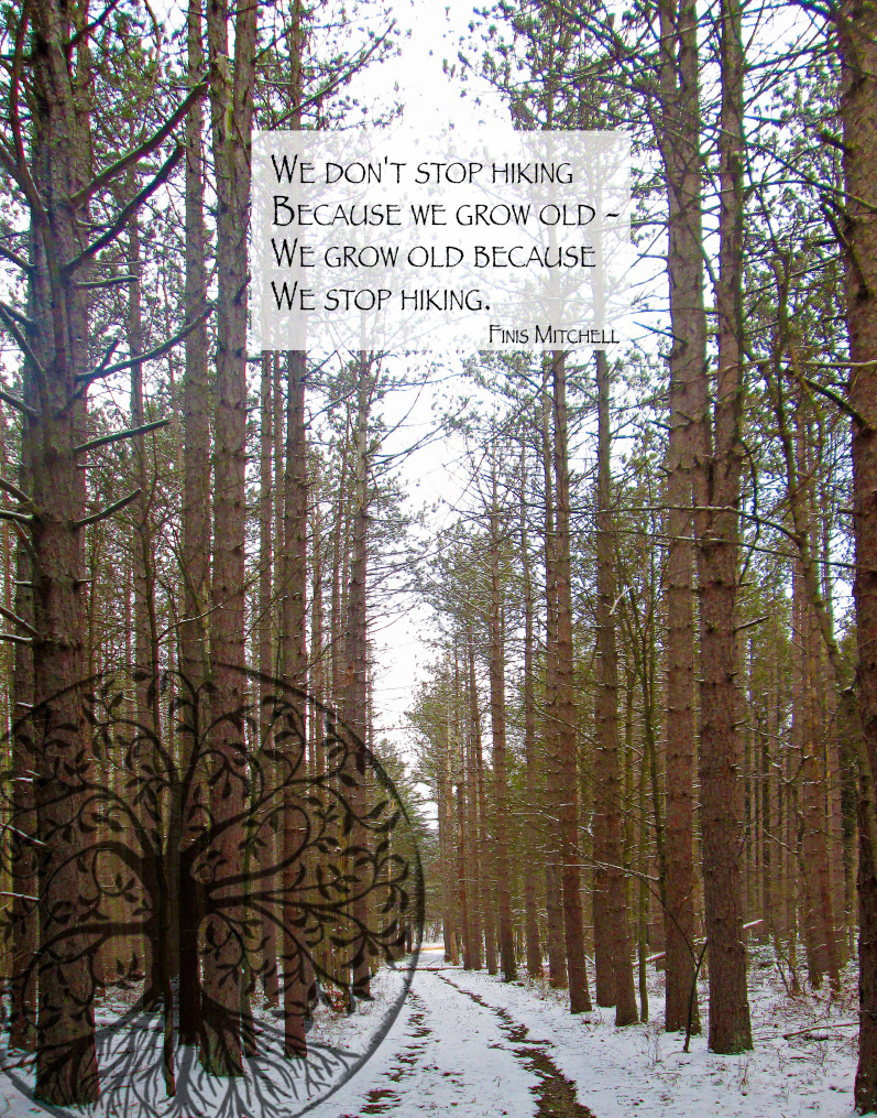 We don't stop hiking because we grow old we grow old because we stop hiking 11x14