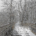 ICV Trail Champion, PA - with quote 8x10