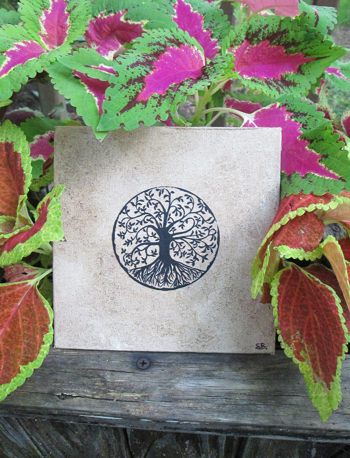 Nature Rocks tree on 8x8 hand rubbed Coffee marbled canvas