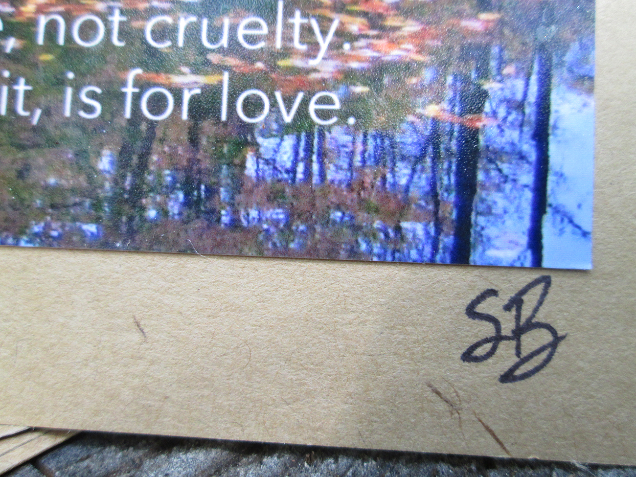 Art Note Card single - Pond at Seven Springs - bright fall colors - with quote - Hand Crafted - Image 3