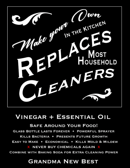 Vinegar Bottle Label- 1800s Great Grandmama Bs - Image 3