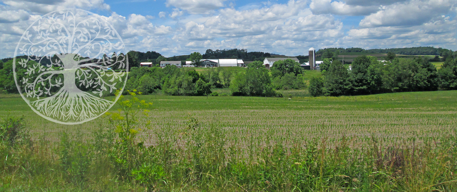 farm-in-summer