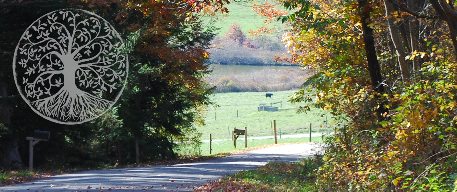 road-with-cow