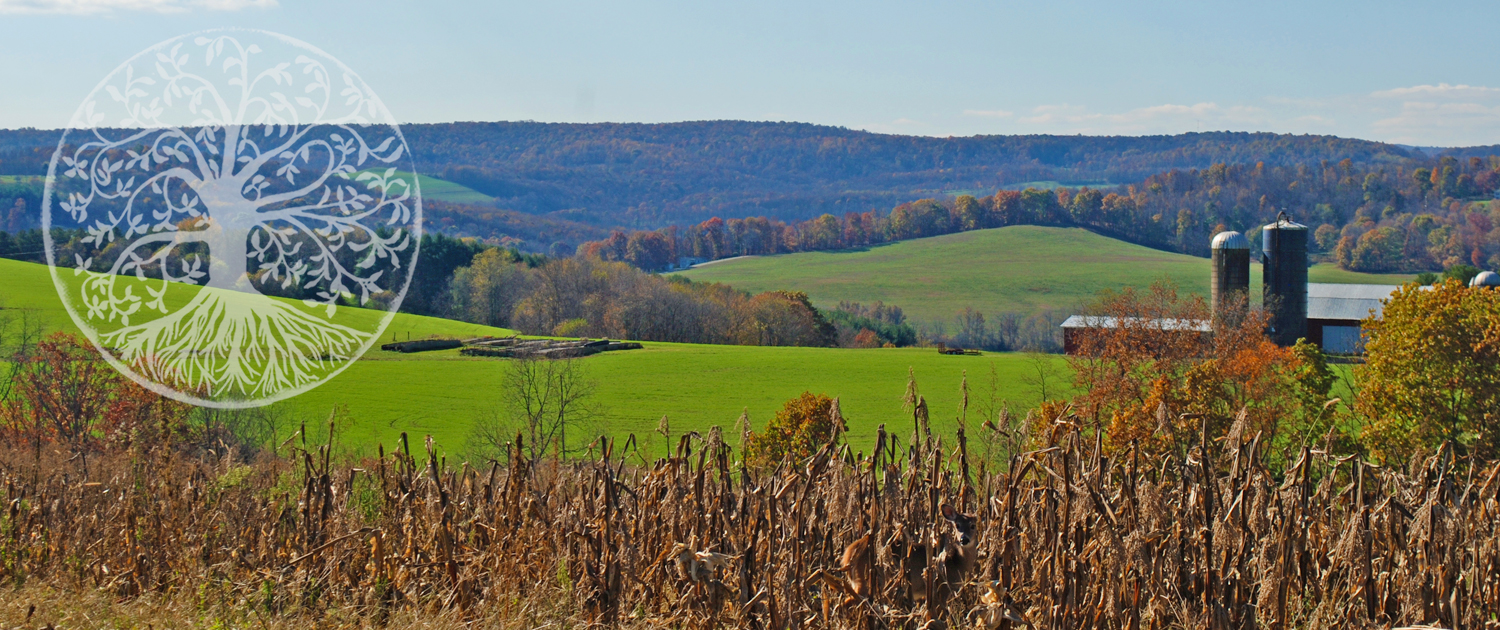 rolling-hillside-in-Laurel-Highlands