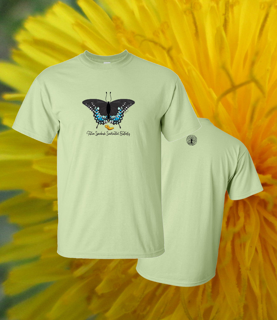 Spicebush Swallowtail Butterfly and Caterpillar Illustration on Pistachio