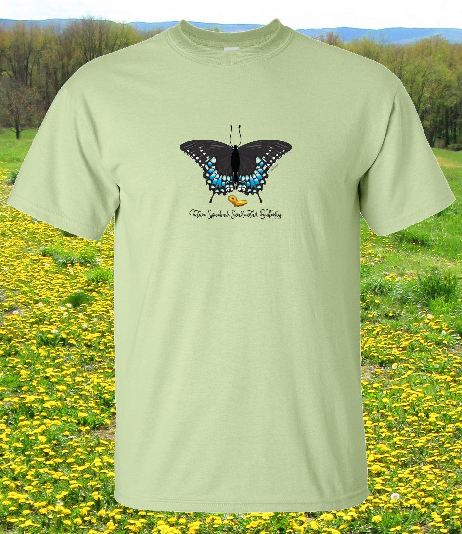 Spicebush Swallowtail Butterfly and Caterpillar Illustration on Pistachio - Image 2